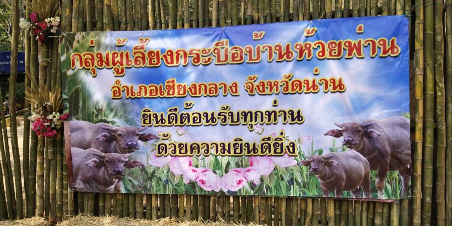 จิตอาสาพระราชทานและคณะ เดินทางไป จว.น่าน เพื่อ ตรวจเยี่ยมให้กำลังใจเกษตรกรที่เข้าร่วมโครงการอนุรักษ์และพัฒนากระบือไทย ในพื้นที่บ้านห้วยพ่าน ต.เปือ อ.เชียงกลาง