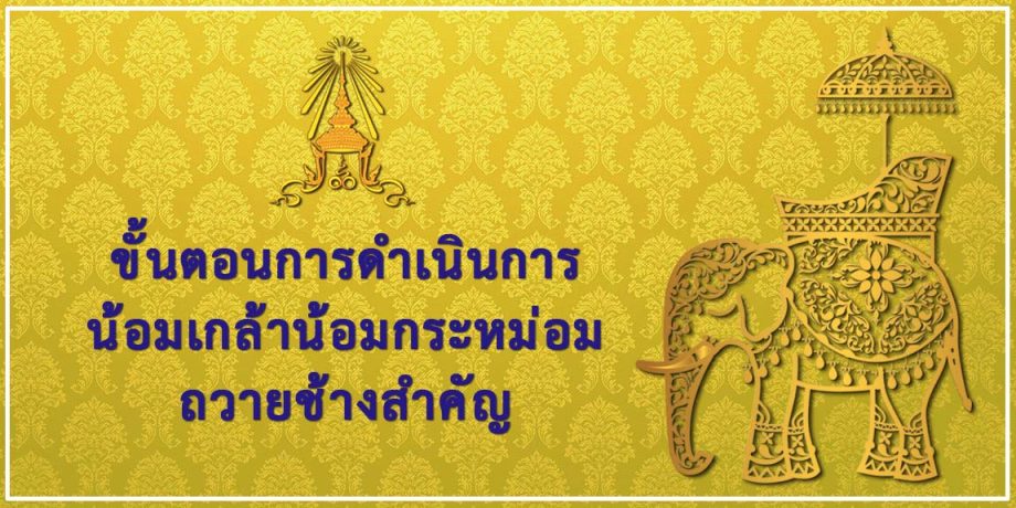 ขั้นตอนการน้อมเกล้าฯ ถวายช้างสำคัญ พระเศวตอดุลยเดชพาหน คชลักษณ์ สำนักพระราชวัง และกระทรวงมหาดไทย พระราชพิธีขึ้นระวางสมโภชช้างสำคัญ